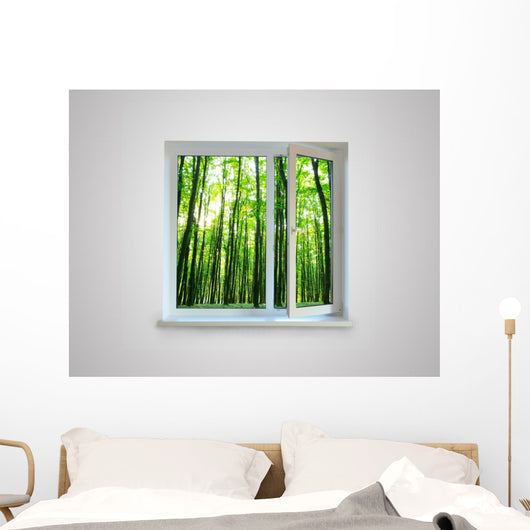 Window