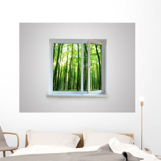 Window