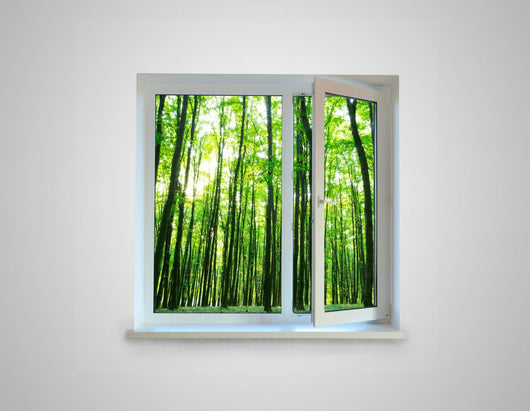 Window