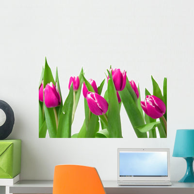 Tulips Meadow Wall Decal shown on a wall