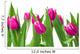 Tulips on a meadow Wall Decal