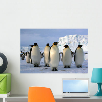 Emperor Penguins Wall Mural shown on a wall