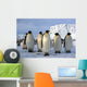 Emperor Penguins Wall Mural