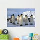 Emperor Penguins Wall Mural