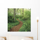 Path Through Woods Wall Mural