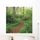 Path Through Woods Wall Mural