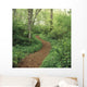 Path Through Woods Wall Mural