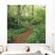 Path Through Woods Wall Mural