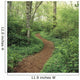 Path Through Woods Wall Mural