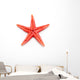 starfish Wall Decal