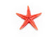 starfish Wall Decal