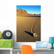 Moving Stone in Desert of Death Valley Wall Mural
