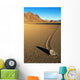 Moving Stone in Desert of Death Valley Wall Mural