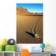 Moving Stone in Desert of Death Valley Wall Mural
