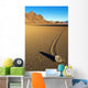 Moving Stone in Desert of Death Valley Wall Mural