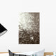Above View Of Woman Swimming, B/W Wall Mural