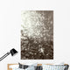 Above View Of Woman Swimming, B/W Wall Mural