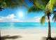 Caribbean Sea and Coconut Pulms Wall Mural