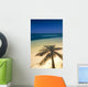 Palm Tree Shadow And Ocean, Great Barrier Reef, Northern Caye, Belize Wall Mural