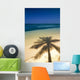 Palm Tree Shadow And Ocean, Great Barrier Reef, Northern Caye, Belize Wall Mural