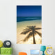 Palm Tree Shadow And Ocean, Great Barrier Reef, Northern Caye, Belize Wall Mural