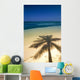 Palm Tree Shadow And Ocean, Great Barrier Reef, Northern Caye, Belize Wall Mural