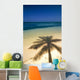 Palm Tree Shadow And Ocean, Great Barrier Reef, Northern Caye, Belize Wall Mural