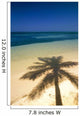 Palm Tree Shadow And Ocean, Great Barrier Reef, Northern Caye, Belize Wall Mural