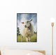 Sheep Sheared With Poodle Cut Wall Mural