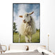 Sheep Sheared With Poodle Cut Wall Mural