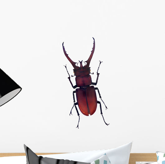 Henry Lin Wall Decal