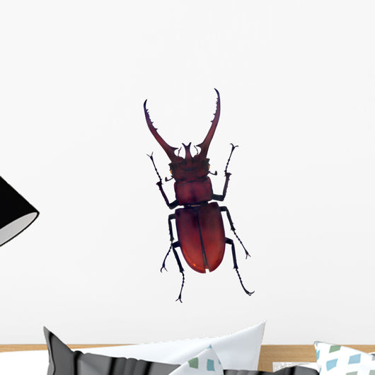 Henry Lin Wall Decal