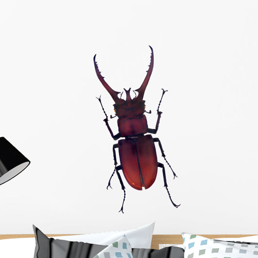 Henry Lin Wall Decal