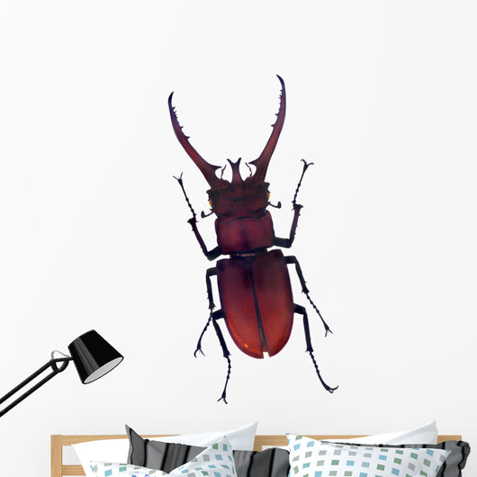 Henry Lin Wall Decal