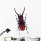 Henry Lin Wall Decal