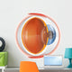 Human Eye