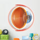 Human Eye