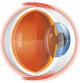 Human Eye
