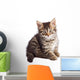 Adorable Small Cat on White Bottom Wall Decal