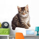 Adorable Small Cat on White Bottom Wall Decal