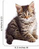 Adorable Small Cat on White Bottom Wall Decal