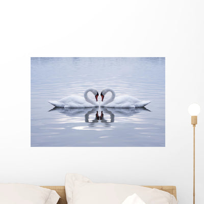 Swans Heart Calm Morning Wall Mural shown on a wall