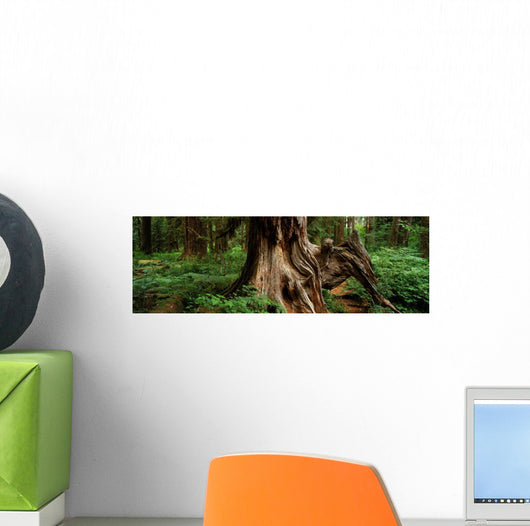 Fv5464, Ron Watts Wall Mural