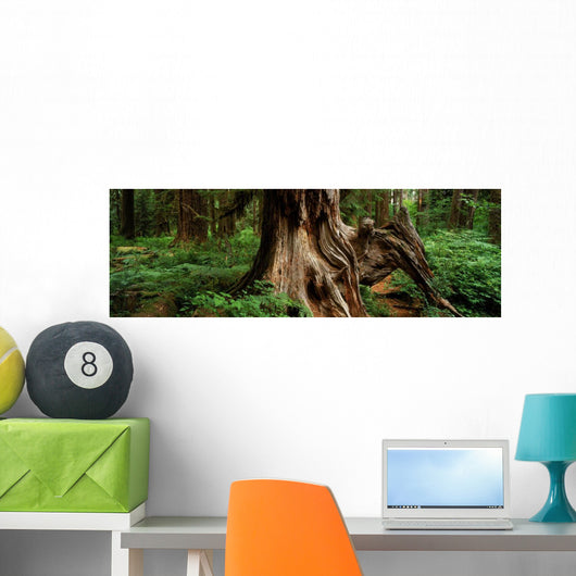 Fv5464, Ron Watts Wall Mural