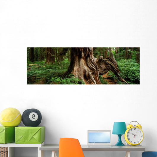 Fv5464, Ron Watts Wall Mural