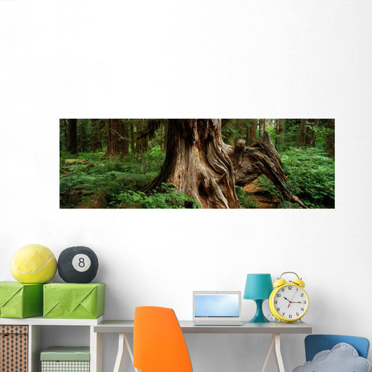 Fv5464, Ron Watts Wall Mural