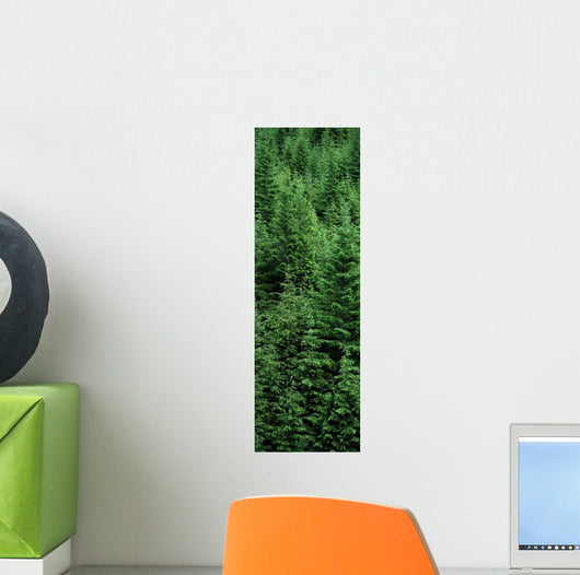 Fv5460, Ron Watts Wall Mural