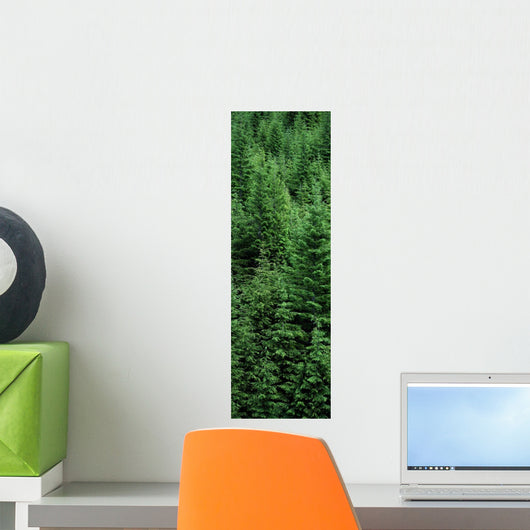 Fv5460, Ron Watts Wall Mural