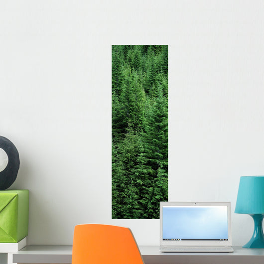 Fv5460, Ron Watts Wall Mural