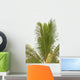 coconut palm tree tropical white background Wall Decal